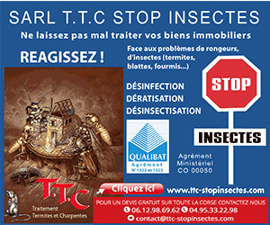 T.T.C Stop Insectes